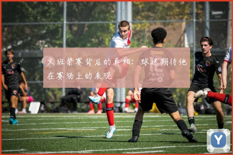 文班禁赛背后的真相：球迷期待他在赛场上的表现